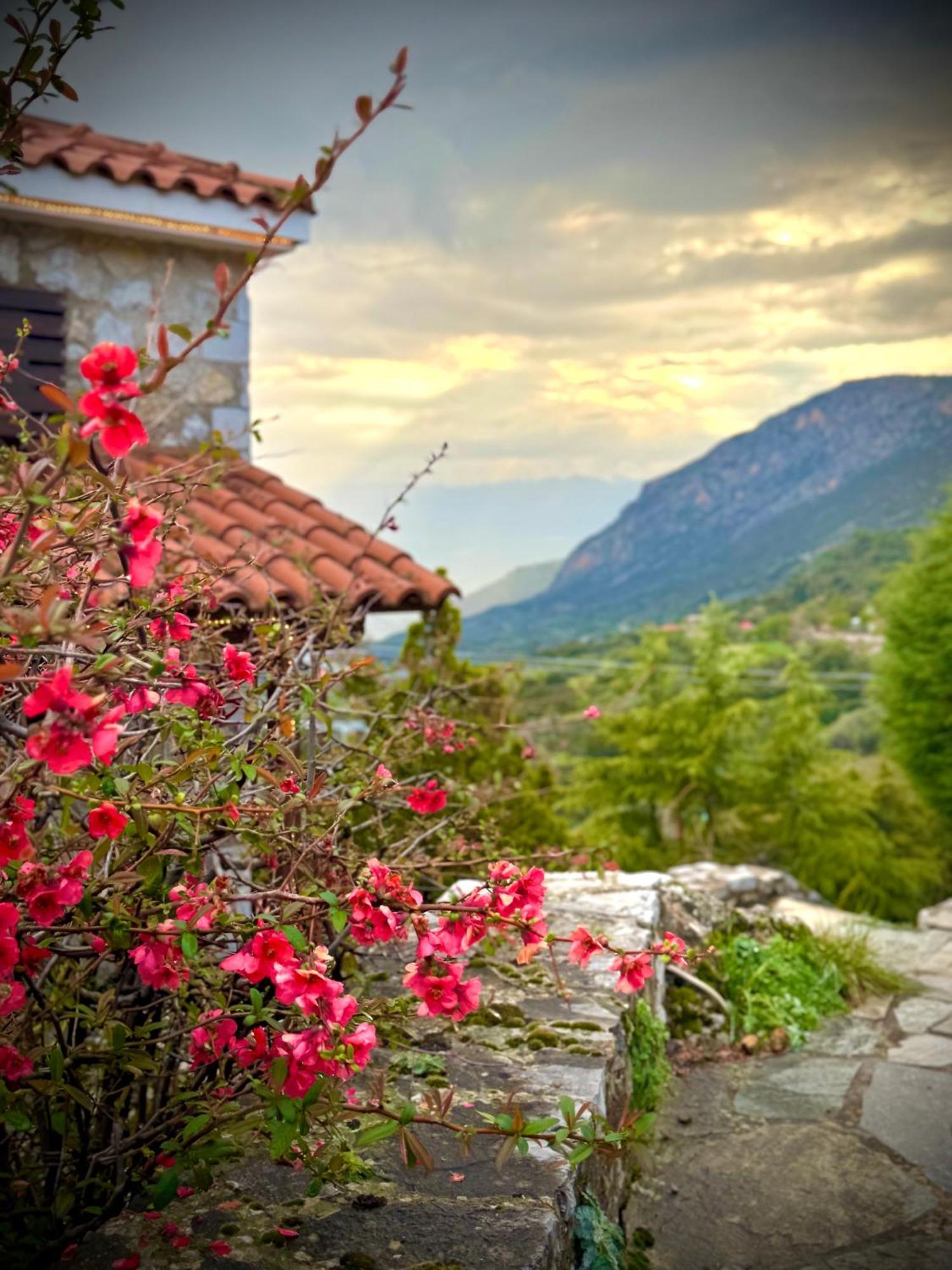 Rock Dandy Deluxe Chalet In Arachova - Delphi, Sauna, Prv Parking, Amazing View 외부 사진